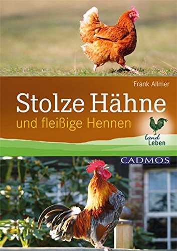 Stolze Hähne: Und fleißige Hennen