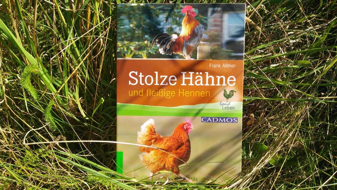 Stolze Hähne und fleißige Henen